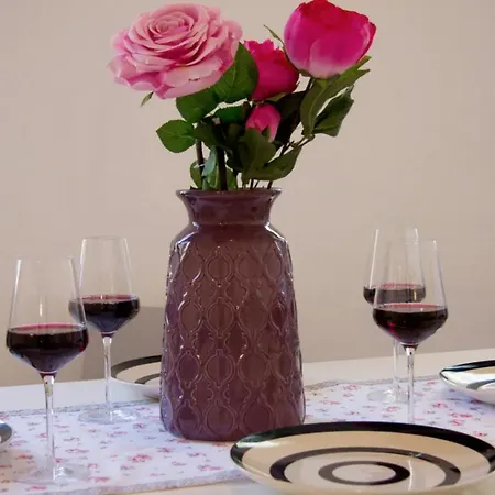 Verano Steps From Kolovare 公寓 扎达尔